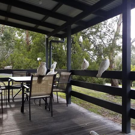 Cockatoo Cabin Холс Гап Екстериор снимка